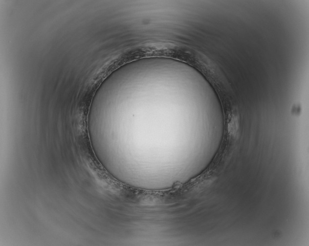 X0000112520819200908311355