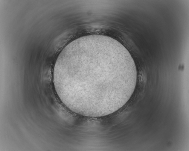 X0000112520820200908311355