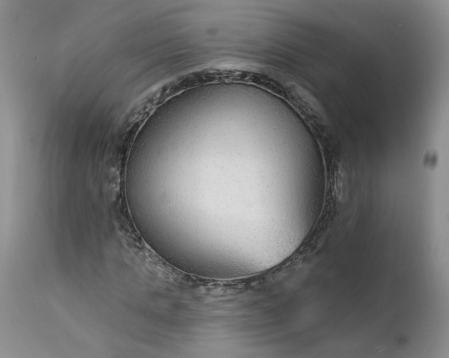 X0000112520821200908311355