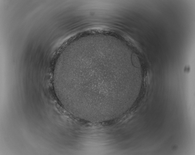 X0000112520822200908311355
