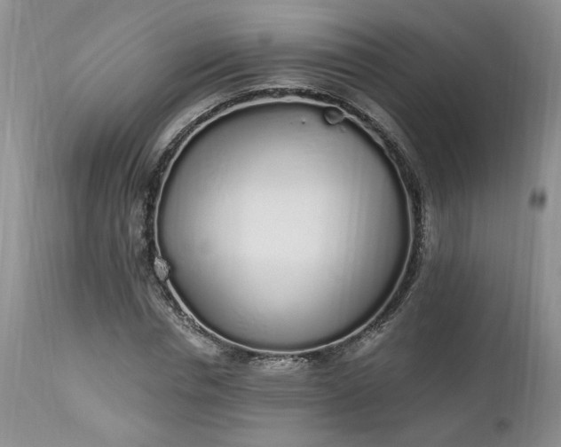 X0000112520826200908311355