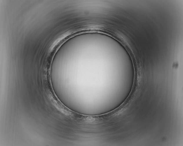 X0000112520827200908311355
