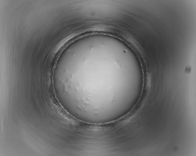 X0000112520829200908311355