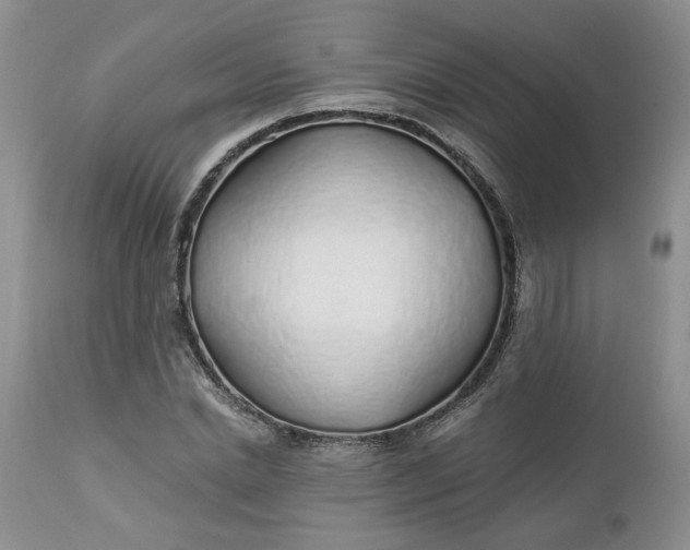 X0000112520830200908311355