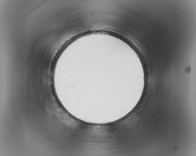 X0000112520832200908311355