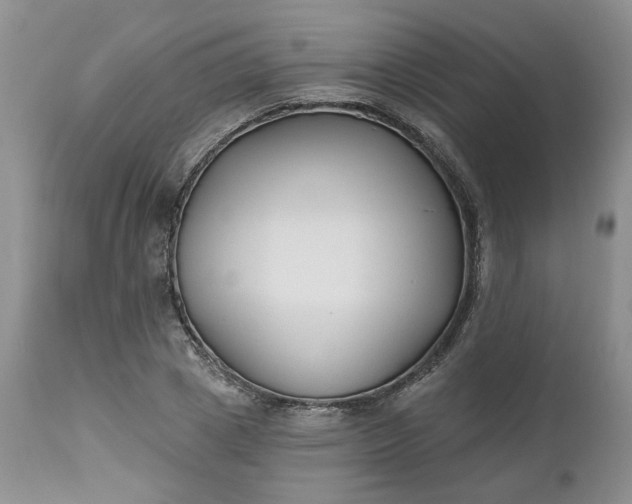 X0000112520833200908311355