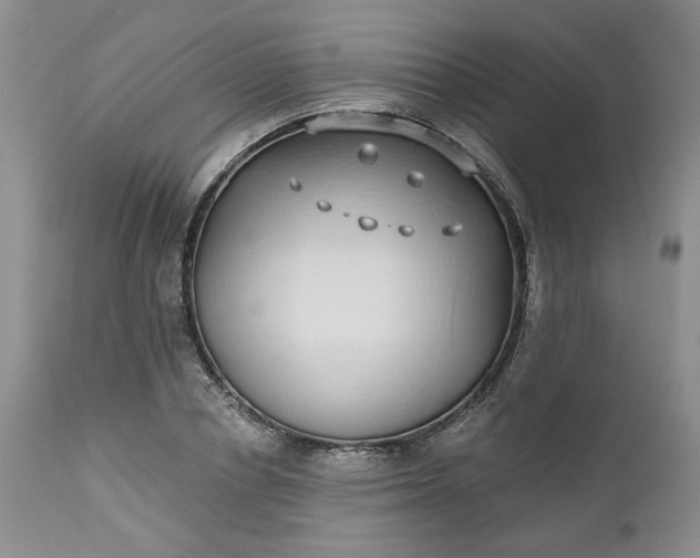X0000112520834200908311355