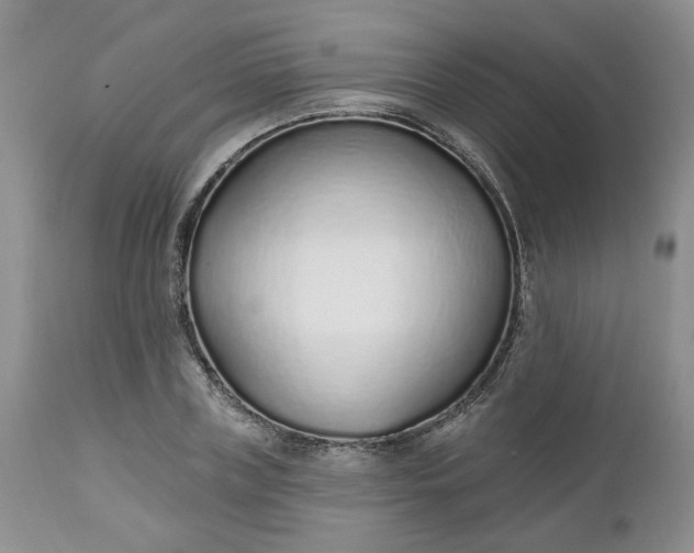 X0000112520835200908311355