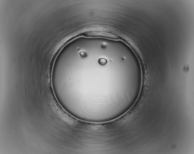 X0000112520837200908311355