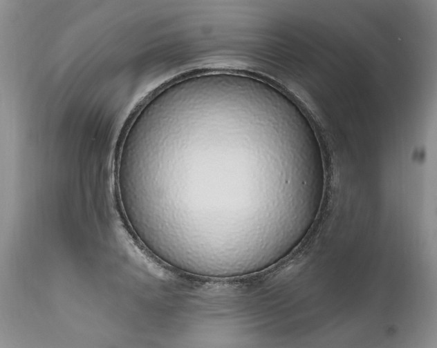 X0000112520840200908311355