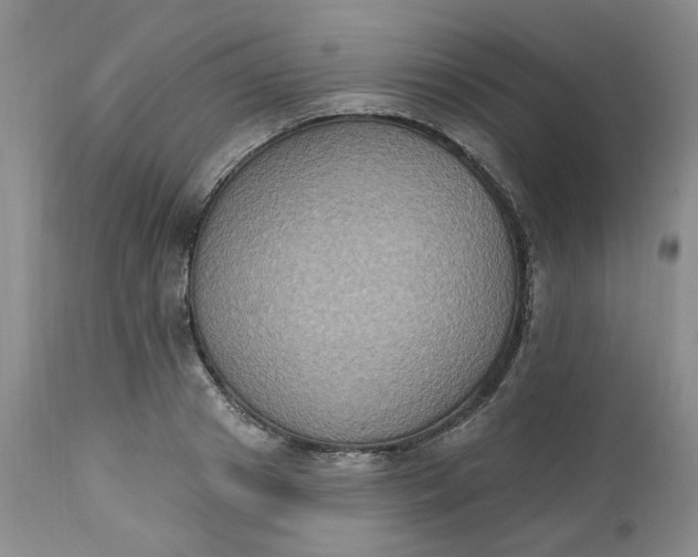 X0000112520841200908311355