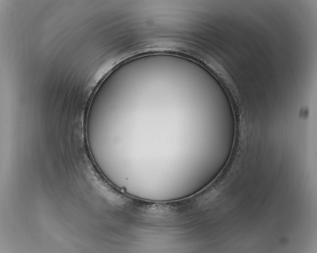 X0000112520842200908311355