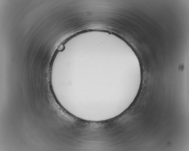 X0000112520848200908311355