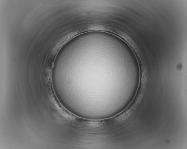 X0000112520849200908311355