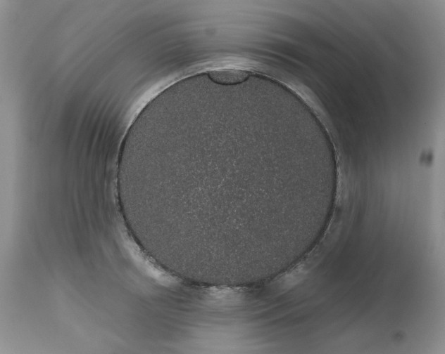 X0000112520850200908311356