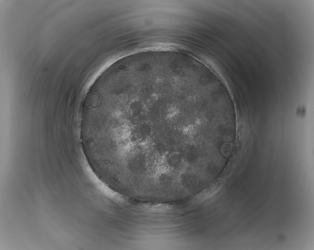 X0000112520851200908311356