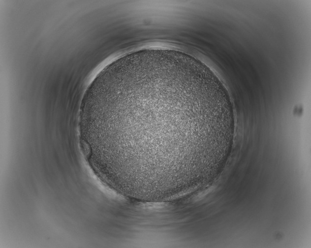 X0000112520853200908311356