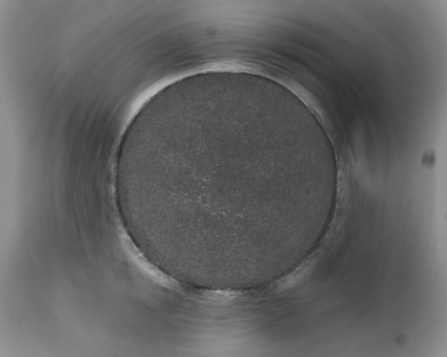 X0000112520854200908311356