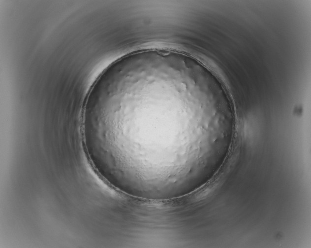 X0000112520855200908311356