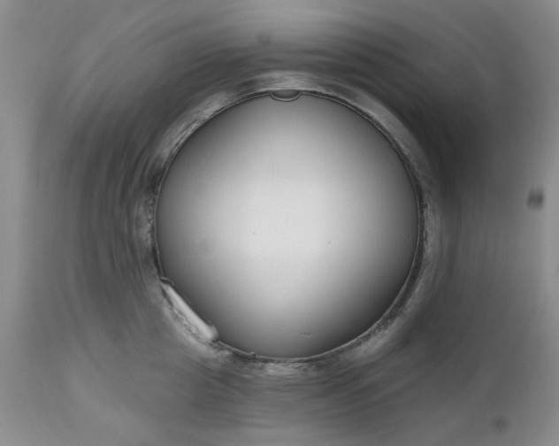 X0000112520857200908311356