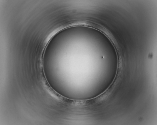 X0000112520858200908311356