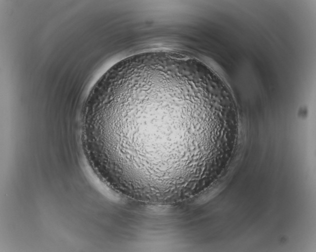 X0000112520859200908311356