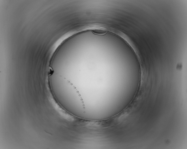 X0000112520861200908311356