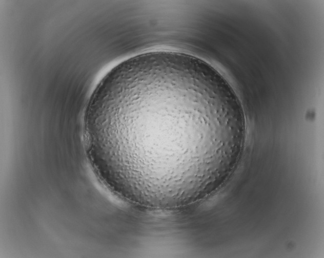 X0000112520862200908311356