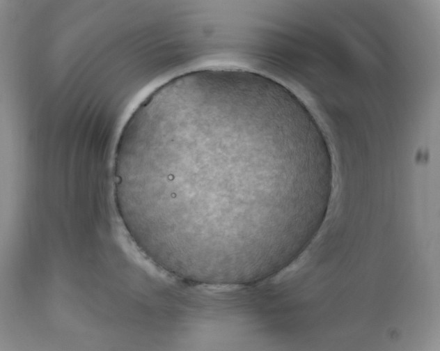 X0000112520864200908311356