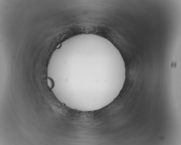 X0000112520865200908311355