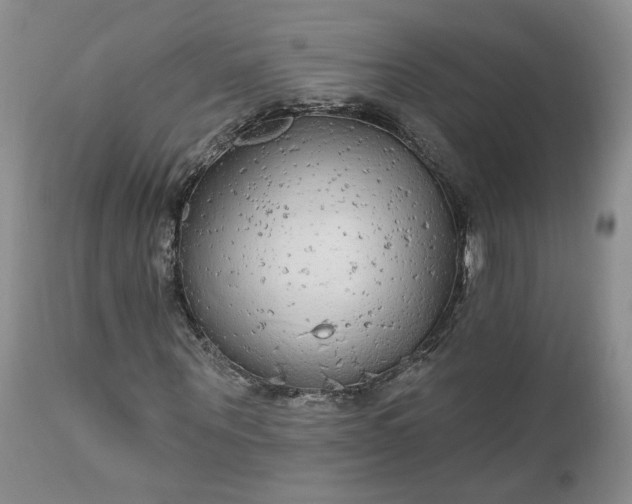 X0000112520867200908311355