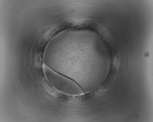 X0000112520868200908311355
