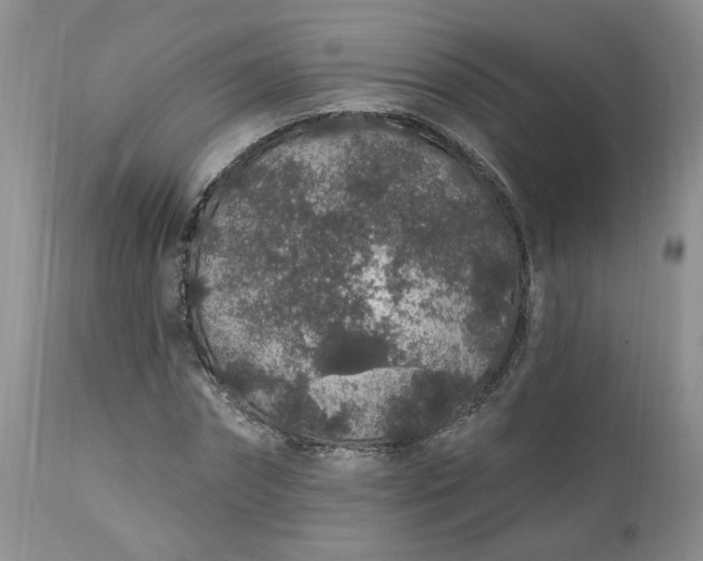 X0000112520874200908311355