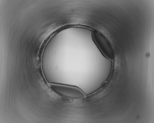 X0000112520876200908311355