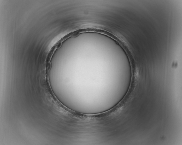 X0000112520877200908311355