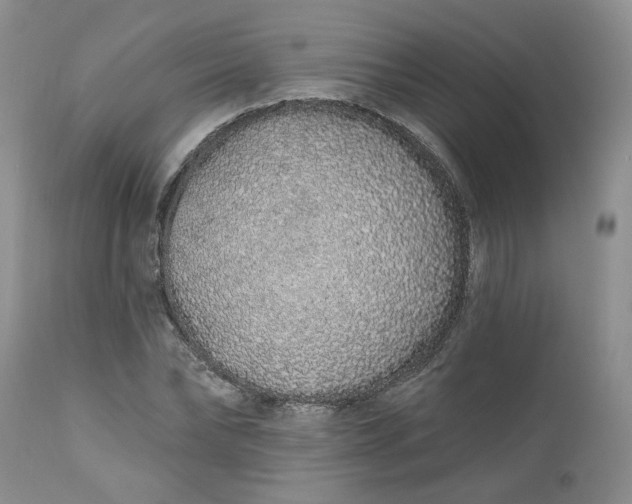 X0000112520878200908311355