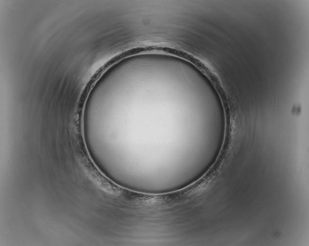 X0000112520879200908311355