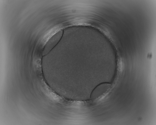 X0000112520881200908311355