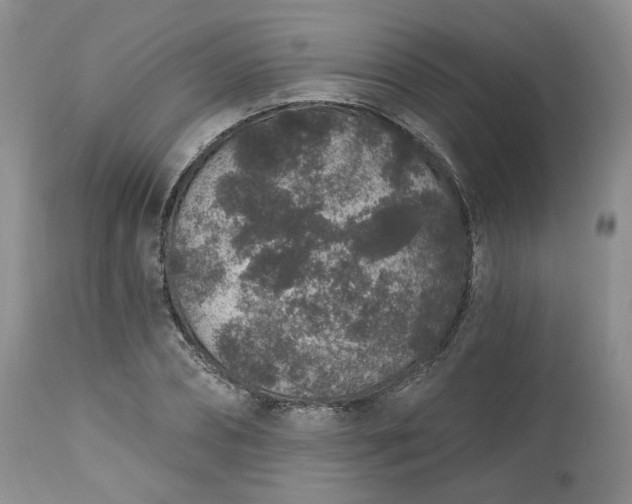 X0000112520882200908311355