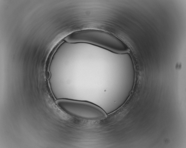 X0000112520884200908311355