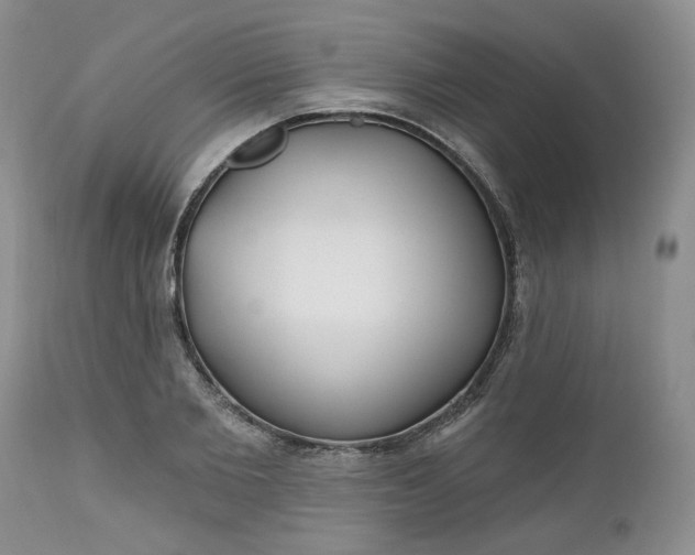 X0000112520885200908311355