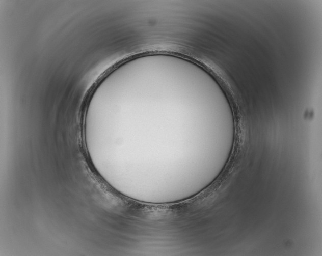 X0000112520886200908311355
