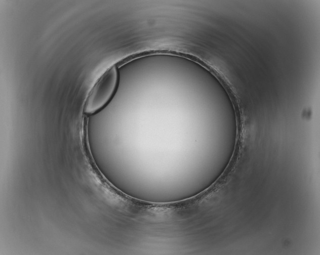X0000112520888200908311355