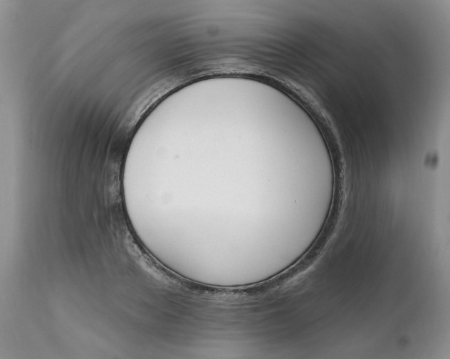 X0000112520889200908311355