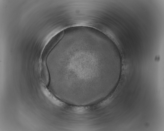 X0000112520892200908311355