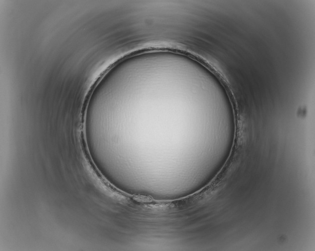 X0000112520895200908311355