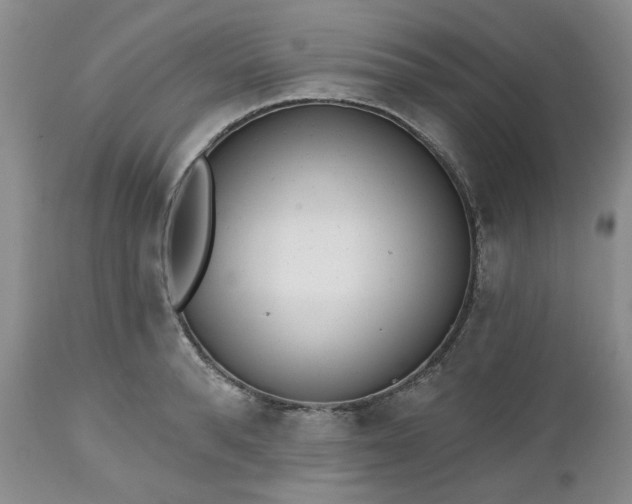 X0000112520896200908311355