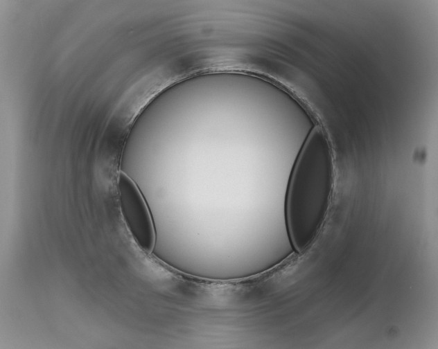 X0000112520897200908311355