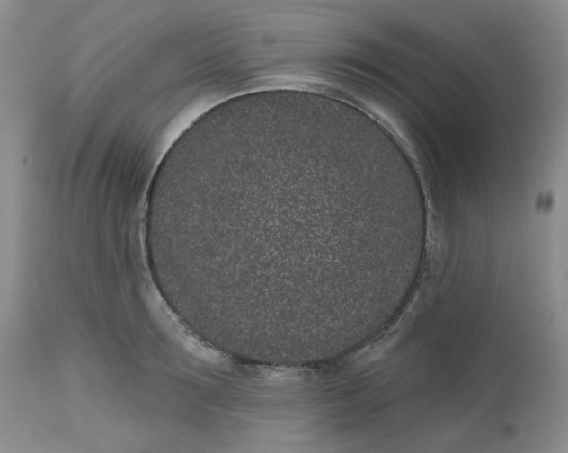 X0000112520899200908311355