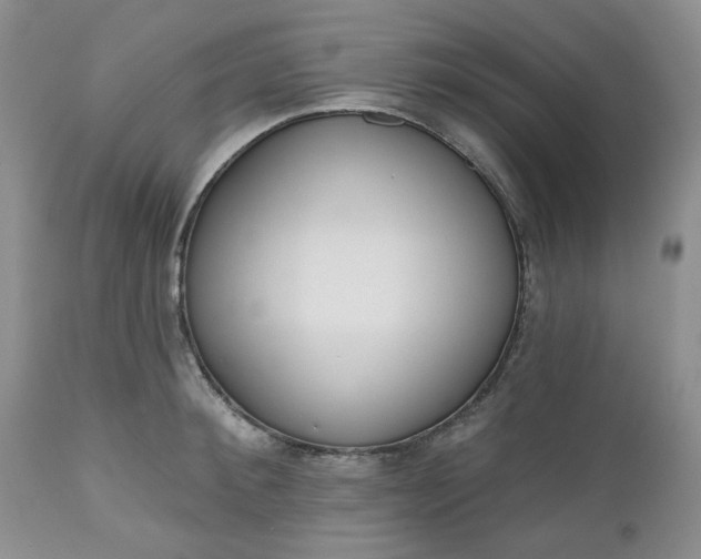 X0000112520900200908311355